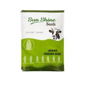 Shine Grow – Hybrid SSG