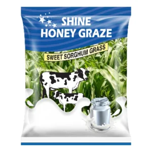 Shine Honey Graze
