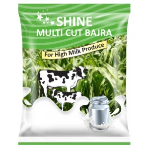 Shine Multi Cut Bajra