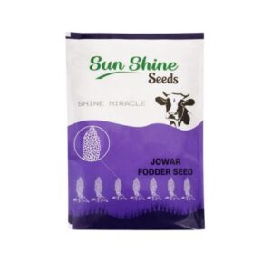 Shine Miracle Seed