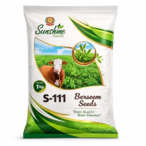 S-111 Barseem Seeds