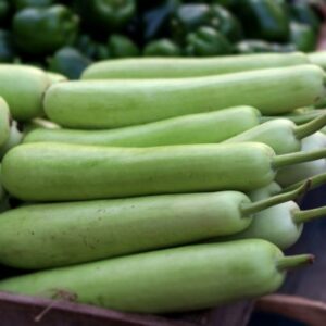 Shine-6 F-1 Bottle Gourd (Loki)