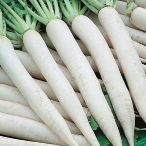 Shine Radish (Palak Patta)