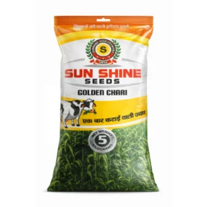 Single Cut Golden Chari