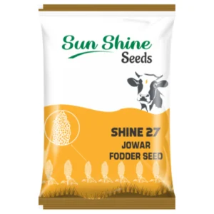 Hybrid Sorghum Sudan Grass Shine-27