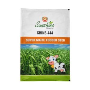 Super Maize Fodder Seed SHINE-444