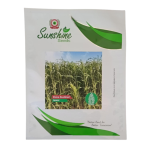 Shine Rusbhari Jawar Seeds