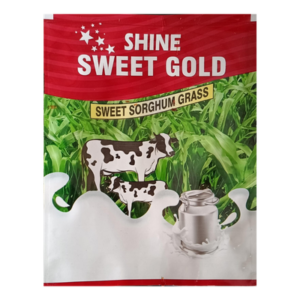 Shine Sweet Gold Sorghum Seeds